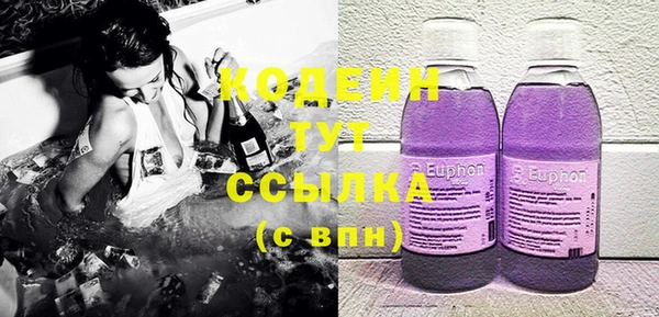 амф Елизово