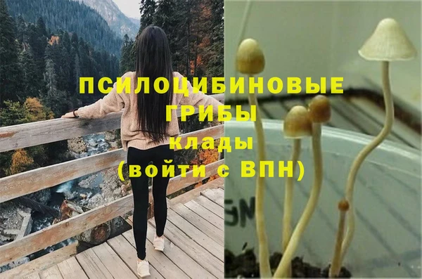 амф Елизово
