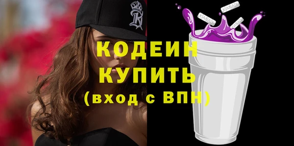 амф Елизово