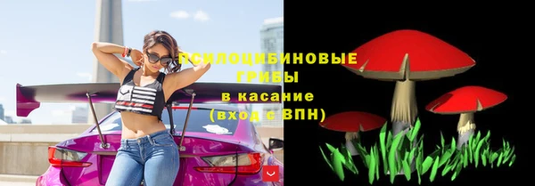 амф Елизово