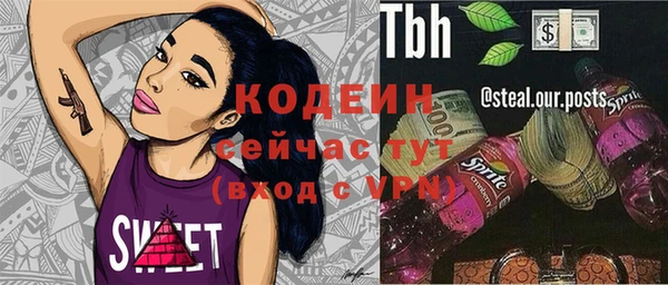 амф Елизово