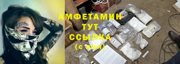 амф Елизово