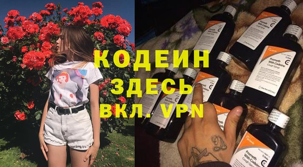 амф Елизово