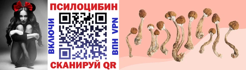 Галлюциногенные грибы ЛСД  Купить  Павловская 
